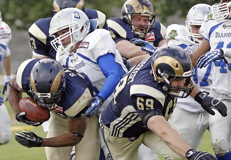 Die Rams trotzen Wind und Wetter Die Rams trotzen Wind und Wetter