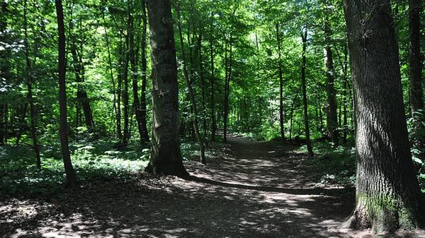 An heißen Tagen bietet sich ein ausgedehnter Spaziergang unter dem Blätterdach des Faberwalds an. Auf einer Lichtung inmitten des Faberwalds befindet sich ein Naturspielplatz, auf dem die kleinen Familienmitglieder klettern und balancieren können. Unser Tipp für Familien mit Kindern. Hunde können auch mitgenommen werden.