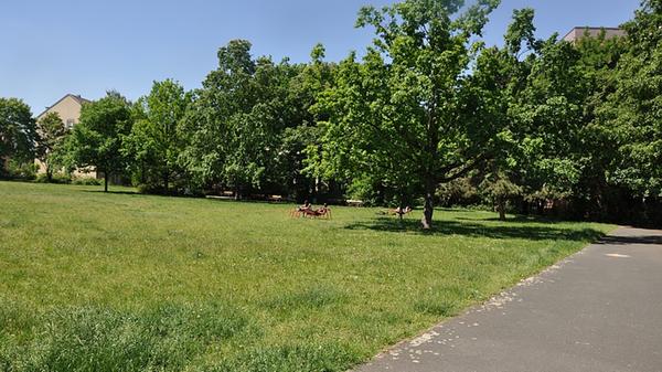 Die großflächige Wiese des Marie-Juchacz-Parks in St. Leonhard lädt zum Verweilen ein. Auf schattigen Bänken oder den roten Liegen auf der Wiese kann man den Sommer genießen. Besondere Spielmöglichkeiten für Kinder gibt es hier allerdings nicht. Unser Tipp für alle, die gerne einfach mal ohne großen Trubel die Seele baumeln lassen wollen.