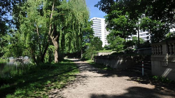 Der Tullnaupark ist zwar klein, für einen kurzen Spaziergang aber genau das Richtige. Der große Weiher wirkt sehr idyllisch. Unser Tipp für Hundebesitzer, die ungestört sein möchten.