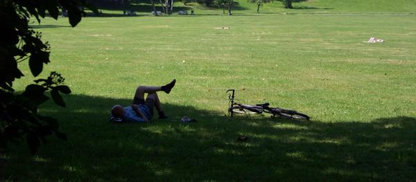 Direkt gegenüber des Volksfestplatzes liegt der Luitpoldhain. Auf den riesigen Grünflächen kann man gut Frisbee oder Federball spielen - oder einfach nur entspannen. Der Park eignet sich außerdem für Familien mit Kindern. Zweimal im Jahr finden hier zudem die Klassik-Open-Air-Konzerte statt. Unser Tipp für einen gemütlichen Familienausflug, ein Picknick oder gemeinsamen Sport.