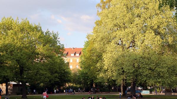 Der Annapark ist ein kleiner Park in der Südstadt. Für die Kids gibt es einen Spielplatz mit Kletterwand und mehrere umzäunte Fußballplätze. Der Park ist an sehr heißen Tagen allerdings nicht für alle die passende Wahl, denn es gibt kaum Schatten. Unser Tipp: Im Sommer findet die Veranstaltung "KommVorZone" mit Live-Musik, Tanzshows und Kreativ-Workshops im Annapark statt.