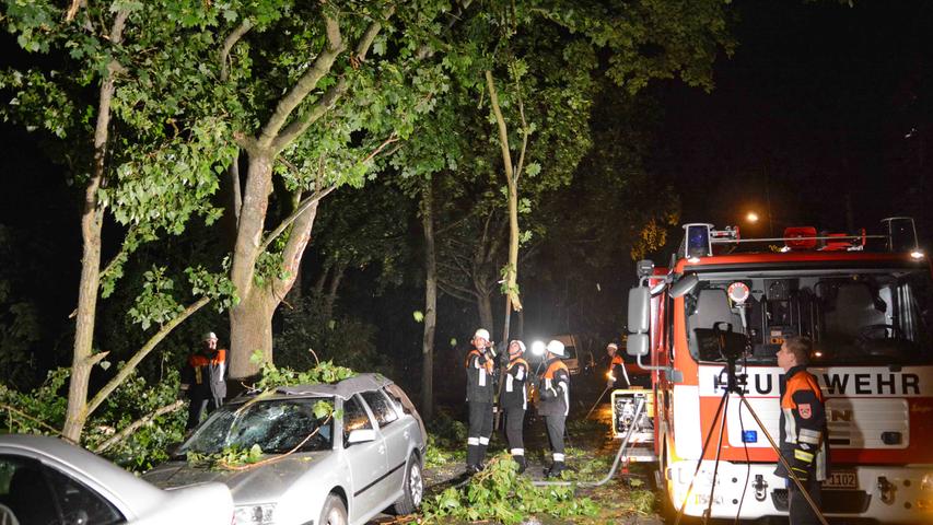 Die dort geparkten Autos wurden durch den umgestürzten Baum und herabgefallene Äste beschädigt.