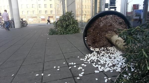 Der Steuerzahlerbund kritisierte auch das Verkehrs- und Mobilitätskonzept der Gemeinde Herrsching am Ammersee. Dabei wurden an einer Straße Pflanzentröge aufgestellt, um den Verkehrsbereich zu beruhigen. Kostenpunkt: 145.000 Euro. In dem Bereich seien aber schon Bäume, sagte Jäger. "Man pflanzt Baum unter Baum." Das mache nicht wirklich viel Sinn. "Man hätte auch etwas anderes hinstellen können – ein normales Betonelement." Der Haken an der Geschichte: Wegen der Baumtröge seien Schulkinder an der Straßenüberquerung kaum sichtbar. "Ob das der Verkehrssicherheit dienlich ist, ist stark zu bezweifeln." Dies sei ein klassischer Fall von Steuergeldverschwendung.