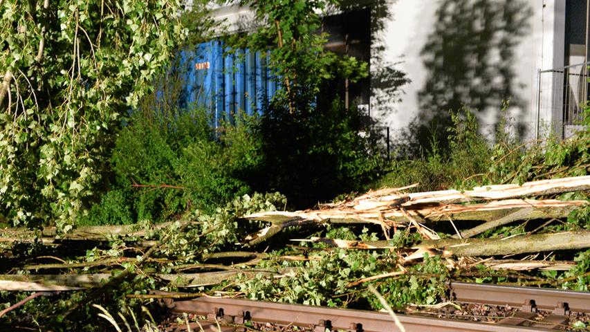 In Höhe der Wladimirsstraße fiel eine große Pappel auf Oberleitung und Gleise.