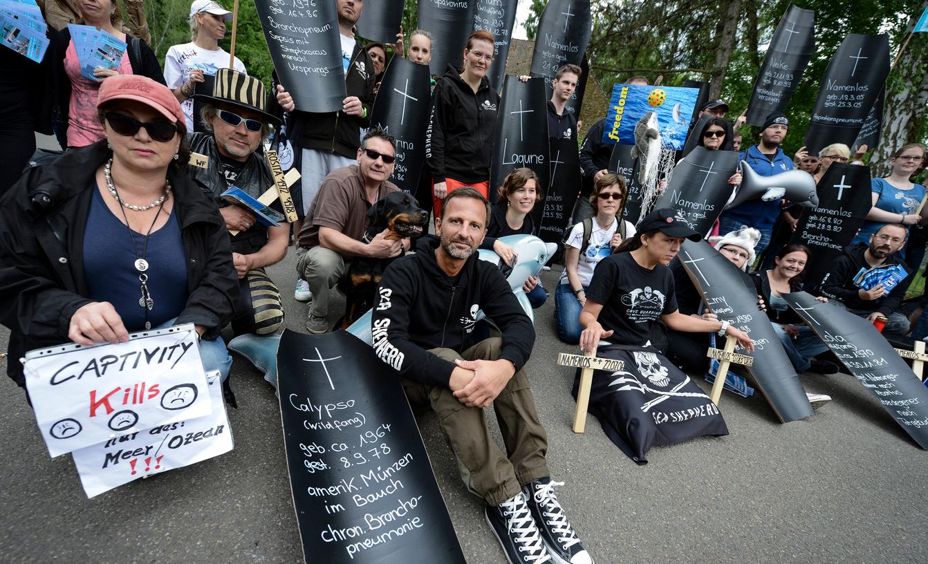 Organisator Ramsi Sras (vierter von links, sitzend) und seine Mitstreiter protestierten am Samstagvormittag in Nürnberg gegen die Delfinlagune.