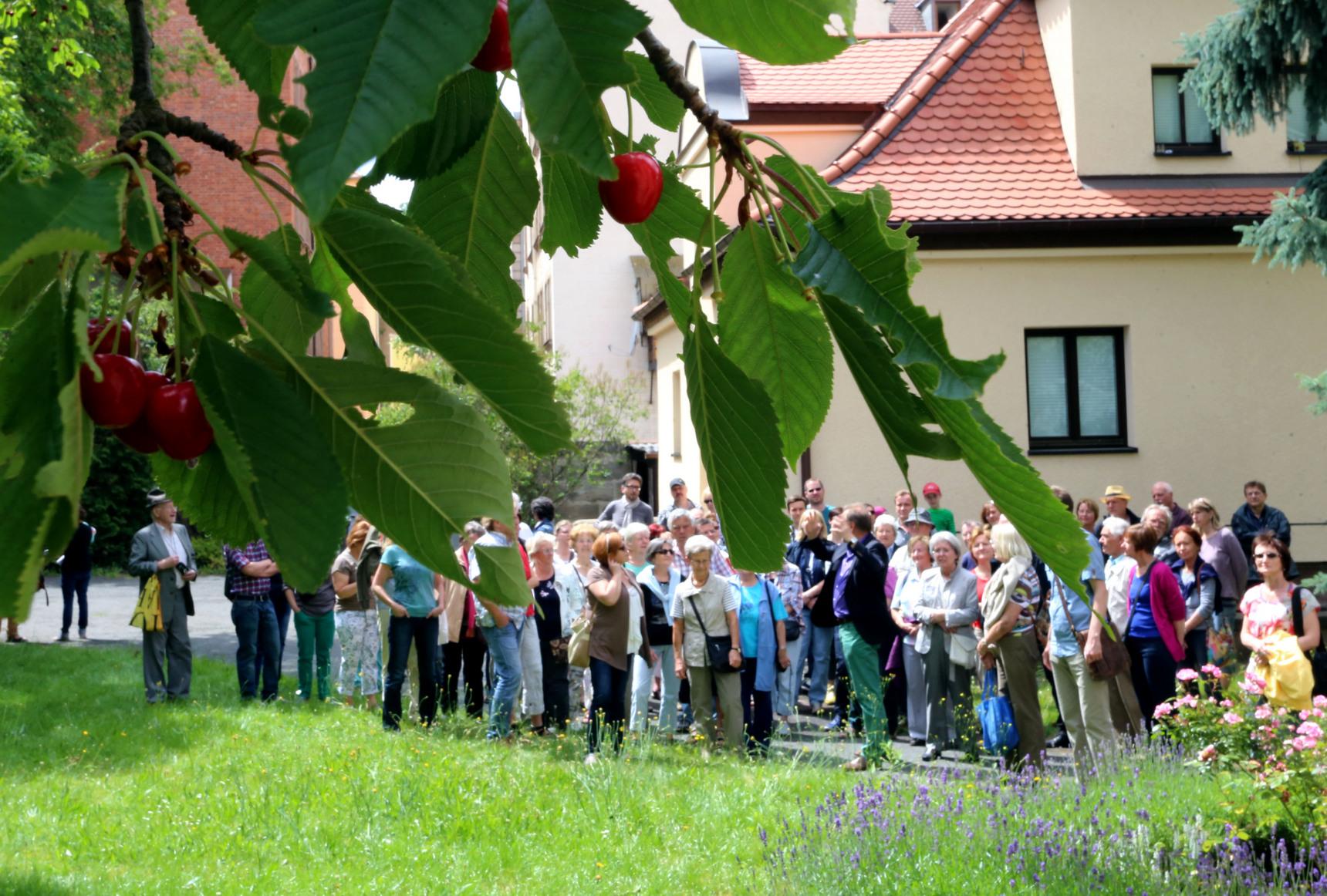 Altstadtfreunde Nürnberg führen durch Gärten hinter der Veste Nordbayern