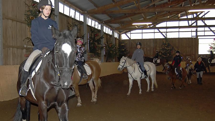 Wer in der Dressurquadrille in der Reithalle mitreiten will, muss die Grundgangarten Schritt, Trab und Galopp beherrschen. Geführt wird ein Pferd nicht nur am Zügel, der ganze Körper des Reiters gibt die Kommandos. Wer in der Dressurquadrille in der Reithalle mitreiten will, muss die Grundgangarten Schritt, Trab und Galopp beherrschen. Geführt wird ein Pferd nicht nur am Zügel, der ganze Körper des Reiters gibt die Kommandos.