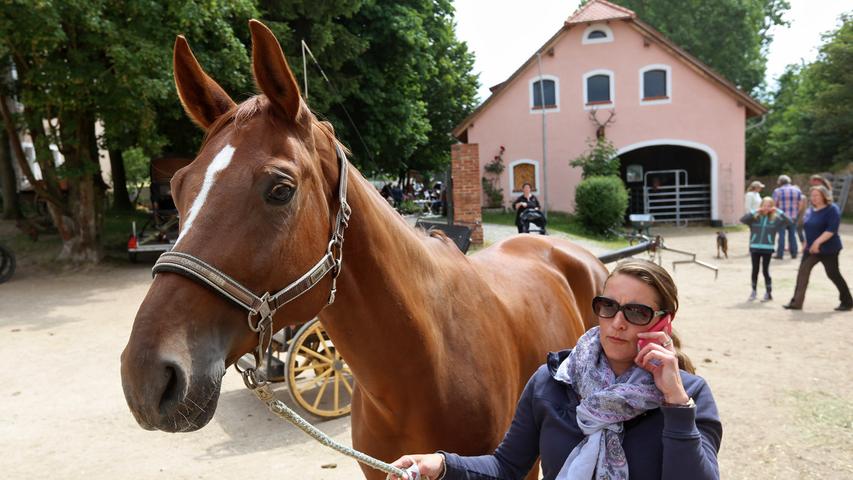 Klosterfest in Seligenporten: Pferde-Kutschen-Trödelmarkt
