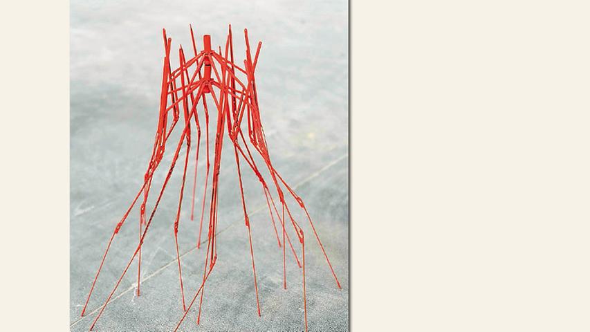 geb. 1964 in Salvador da Bahia, Brasilien
 lebt in Nürnberg
 Intense Red (2013)
 60 x 60 cm
 Aluminium, Draht, Acryl