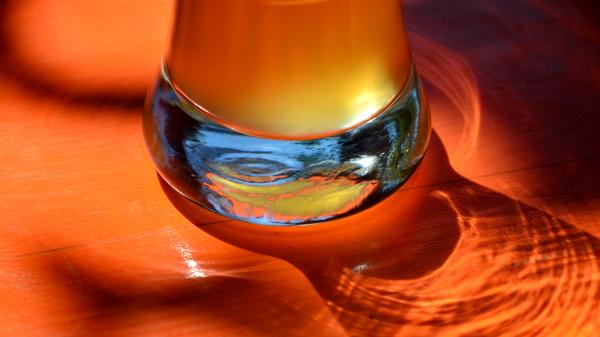 Unfiltriertes Bier ist naturtrüb, da seine trübenden Inhaltsstoffe wie Hefe und Eiweiß noch enthalten sind. Bis Ende des 19. Jahrhunderts wurde das Bier unfiltriert getrunken, dann kamen die ersten Bierfilter auf den Markt, die Hopfenharze und andere Eiweißverbindungen zurückhielten. Die Filtration geschieht oft aus Gründen der Ästhetik, weil die meisten Verbraucher klares Bier bevorzugen. Die Liebhaber naturtrüben Biers dagegen argumentieren, dass bei der Filtration viele Inhalts- und Aromastoffe verloren gehen.