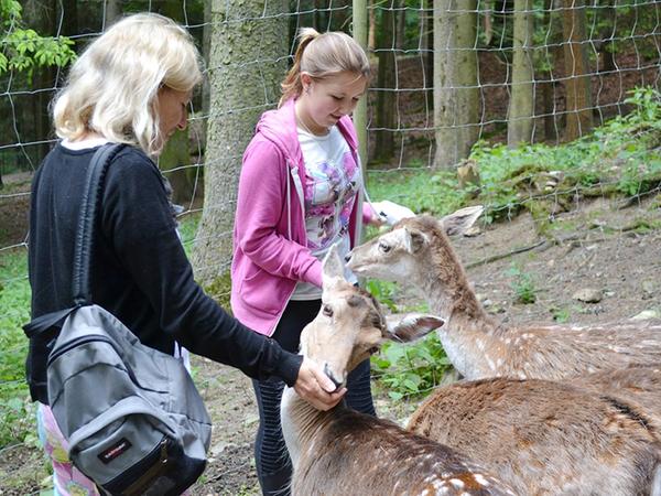 Der Bayerwald verspricht im Sommer Natur pur Der Bayerwald verspricht im Sommer Natur pur