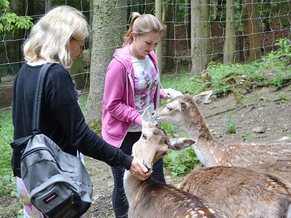 Der Bayerwald verspricht im Sommer Natur pur