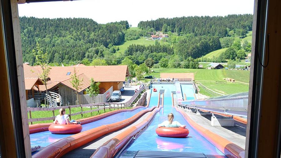 Der Bayerwald verspricht im Sommer Natur pur