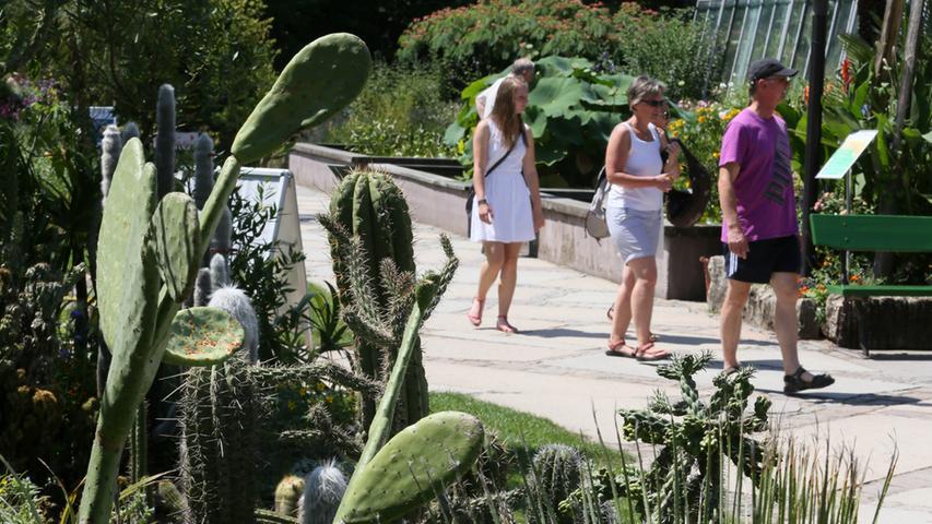 Sommer in der Stadt Erlangen. Die Menschen suchen den Schatten der Bäume, spazieren durch den Botanischen Garten, relaxen im Schloßpark, baden in städtischen Brunnen, fächern sich Luft ins Gesicht oder genießen einfach nur, dass es Sommer ist.
