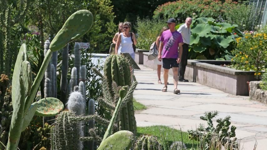 Sommer in der Stadt Erlangen. Die Menschen suchen den Schatten der Bäume, spazieren durch den Botanischen Garten, relaxen im Schloßpark, baden in städtischen Brunnen, fächern sich Luft ins Gesicht oder genießen einfach nur, dass es Sommer ist.