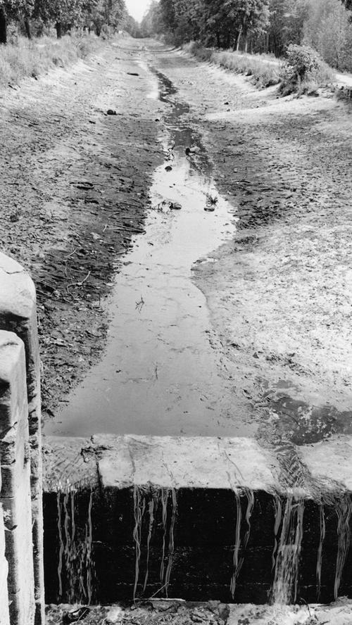 Trostlose Bilder am Ludwigs-Kanal: Das Wasser tröpfelt nur noch... Hier geht es zum Artikel: 30. Juli 1964: Großer Kummer mit dem Kanal .