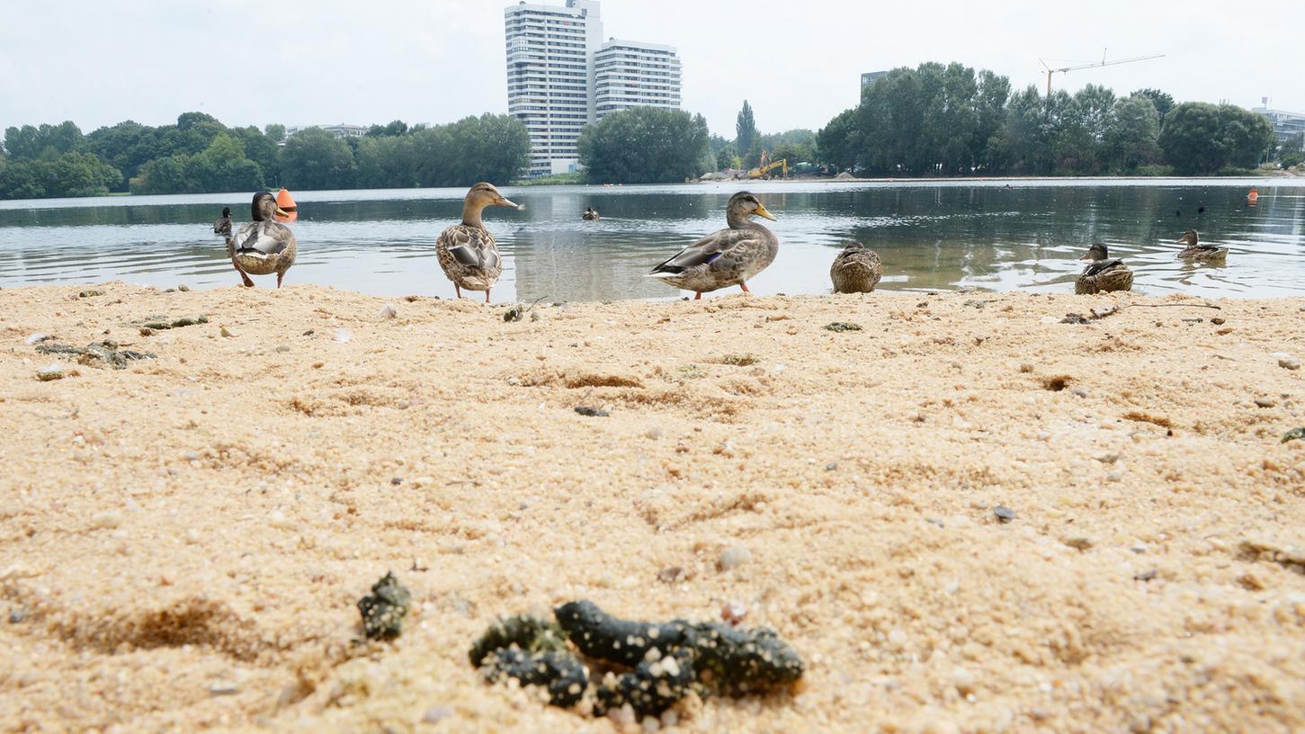 Gänsekot und Müll: Wenig einladend präsentiert sich derzeit der Sandstrand am Wöhrder See.