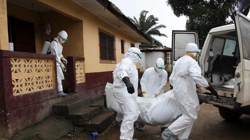 Laut WHO sind bis zum 11. August bereits rund 1000 Menschen am Ebola-Virus gestorben.