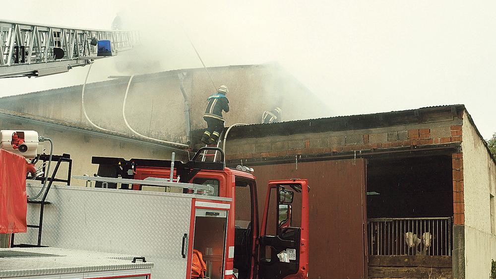 Scheunenbrand am Markhof: Tiere gerettet