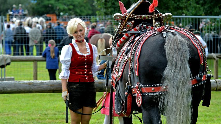 Pferdeschau auf den Neumarkter Volksfest