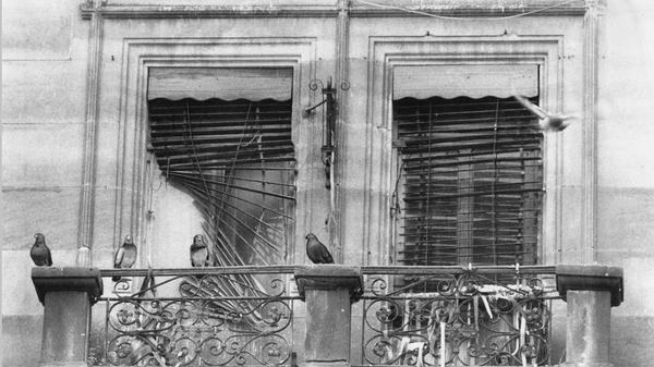 In vielen Anwesen wurde im Oktober 1987 - mit Hilfe der Mieter - heftig entrümpelt. Mit dieser Aktion war der Starschuß für die Sanierung von Gostenhof-Ost gefallen. Die Sanierung war dringend nötig, wie dieser "Taubenschlag" zeigt. Auf dem verfallenen Balkon des Wohnhauses in der Glockendonstraße fraßen sich die gurrenden Tiere satt. Da das linke Fenster samt Rolladen ziemlich ramponiert war, konnten die Tiere hier ohne weiteres ins Zimmer schlüpfen und dort einen Nistplatz bauen.