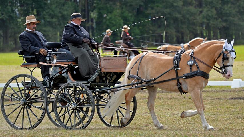 Auftakt der Bayerischen Meisterschaften der Einspänner