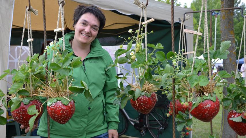 Pfiffige Hängetöpfe: Melanie Schnotz verkauft Erdbeeren, in denen Erdbeeren wachsen.