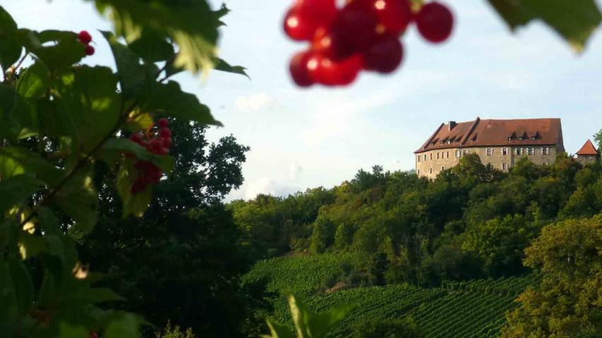 Die Burg Hoheneck thront über den Weinbergen.