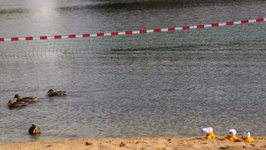 Vogelscheuche am Wöhrder See: Häkelmafia schlägt zu