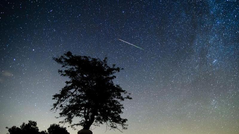 Sternschnuppen begeistern die Menschheit seit Jahrhunderten. Mitte November gibt's davon besonders viele zu sehen.