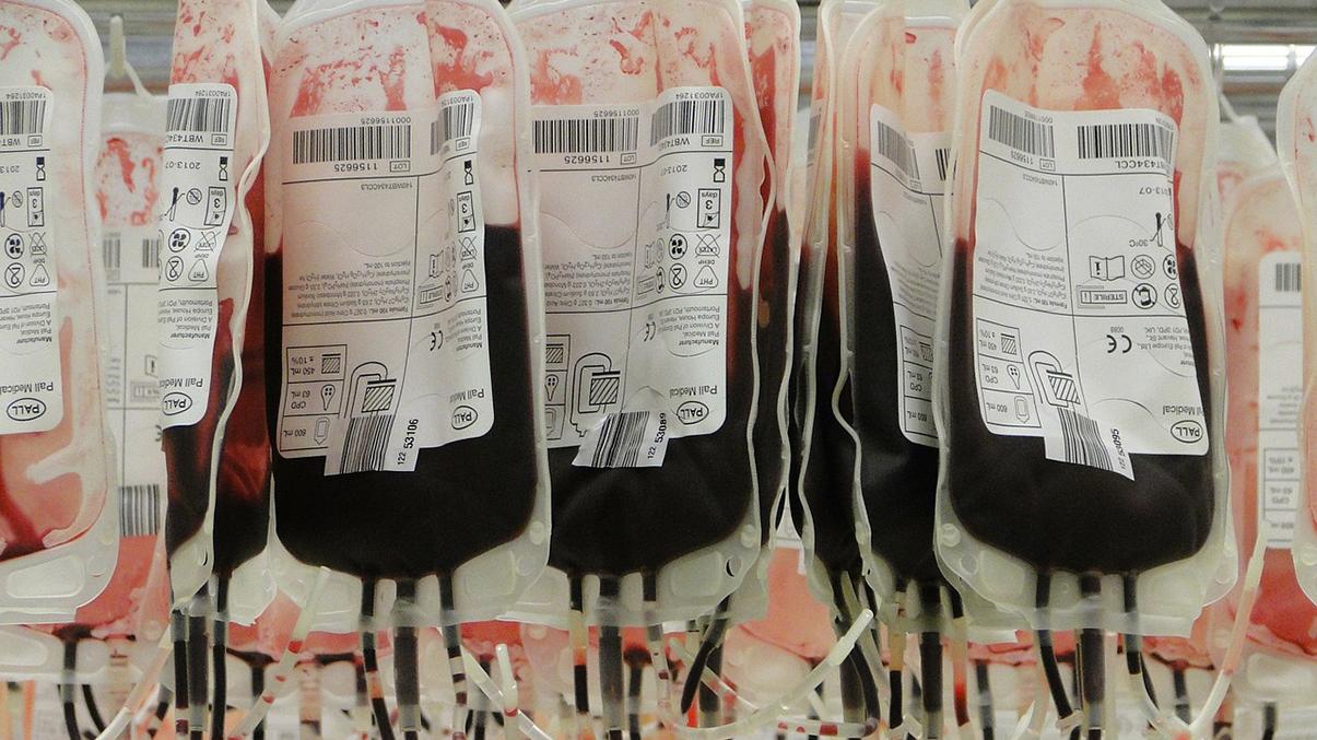 Bis zu 2000 Blutkonserven werden am Tag in Bayern benötigt.