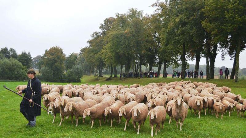 Bayerisches Lehrhüten in Triesdorf