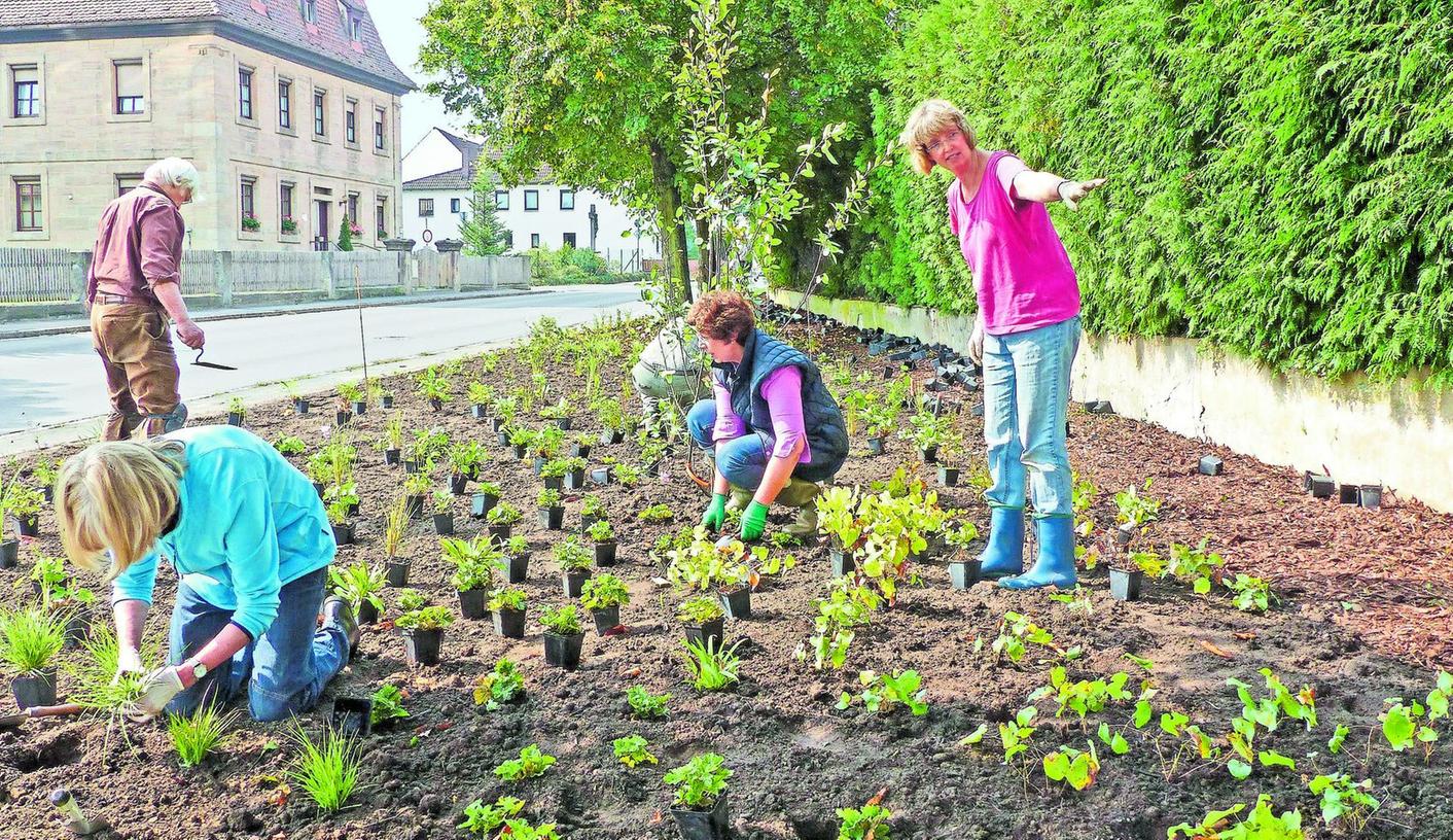 Röttenbach: Blühende Hingucker gepflanzt