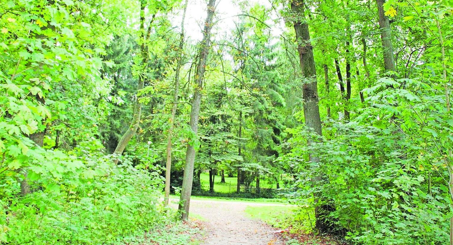 Weisendorfer Schlosspark soll attraktive Parkanlage werden