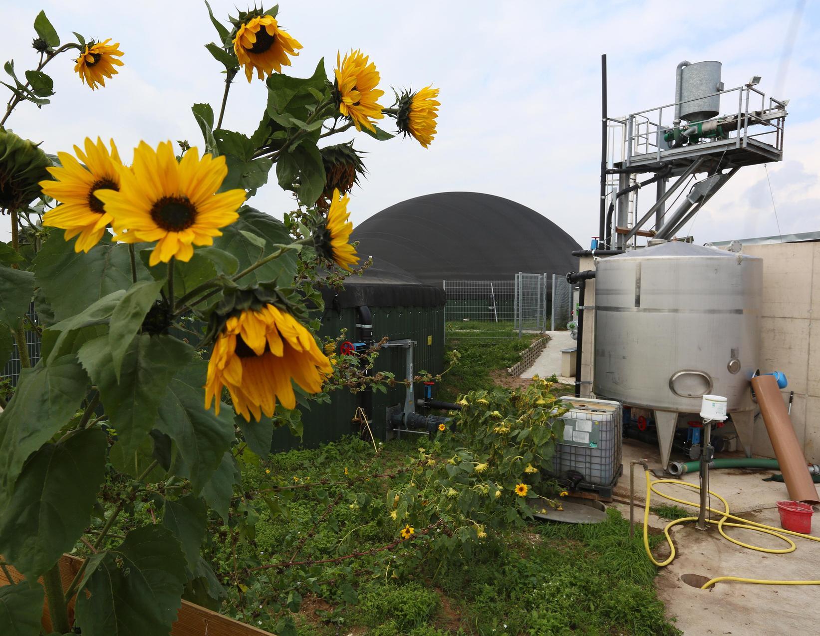 Biogasanlage Rohr Wird Erweitert Freystadt Nordbayern