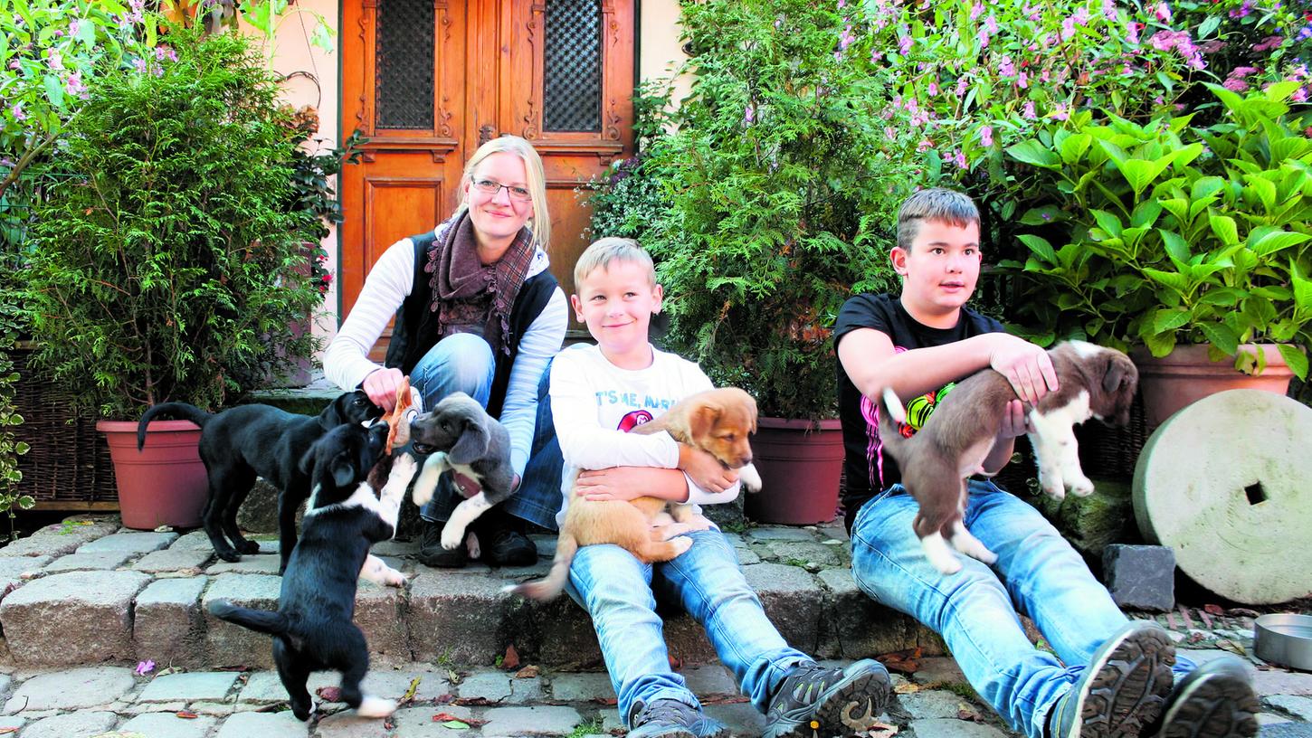 Tierheim: Fünf Hundewelpen bekommen ein neues Zuhause
