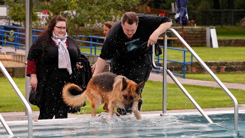 Fiffi und das kühle Nass: Hundebadetag in Nürnberg