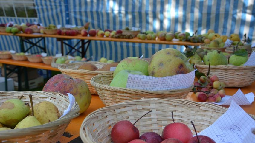 ...der "Roßtaler Gartenbauverein" verwandelte die leckere Frucht in Apfelwein, Apfelsekt und Apfelmost.