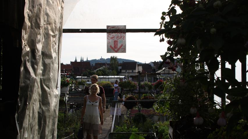 Die Mischung aus bunten Blumen und grünen Sträuchern zusammen mit der Aussicht auf die Bamberger Sehenswürdigkeiten, wie den Dom oder die Altenburg, ist einmalig.