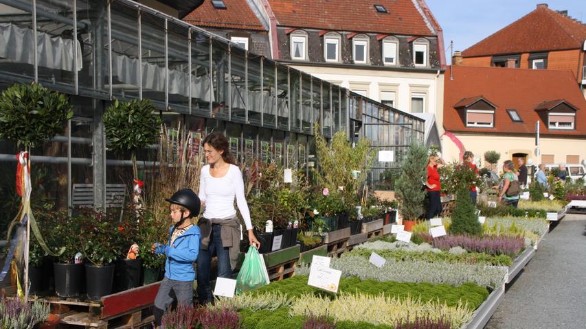 Die Natur in der Stadt: Tag der offenen Gärtnereien in Bamberg