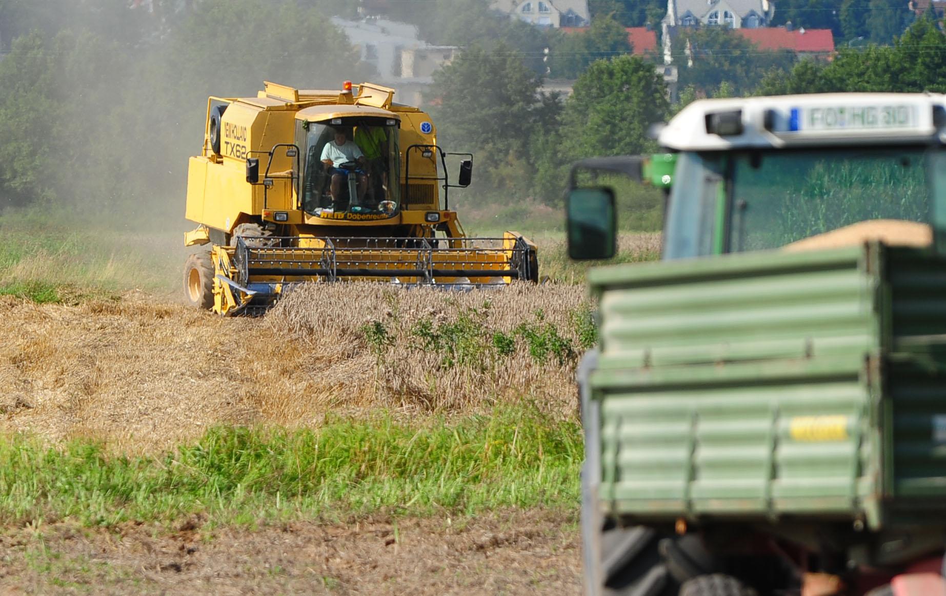 Keine Starkniederschläge und vor allem auch kein Hagel, der die Ernte kaputt macht: Peter Höfler, Kreisobmann des Bauernverbands Nürnberg-Stadt, ist mit dem Sommer zufrieden. Freilich sei es wieder sehr heiß gewesen, aber "wir haben unsere Kulturen gut durchgebracht. Natürlich ist das mit Kosten und Arbeitsaufwand verbunden." Aber eine ordentliche, ausreichende Bewässerung gehöre eben zum Handwerk.