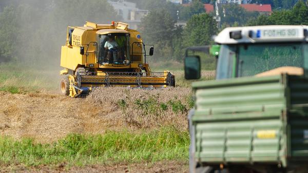 Keine Starkniederschläge und vor allem auch kein Hagel, der die Ernte kaputt macht: Peter Höfler, Kreisobmann des Bauernverbands Nürnberg-Stadt, ist mit dem Sommer zufrieden. Freilich sei es wieder sehr heiß gewesen, aber "wir haben unsere Kulturen gut durchgebracht. Natürlich ist das mit Kosten und Arbeitsaufwand verbunden." Aber eine ordentliche, ausreichende Bewässerung gehöre eben zum Handwerk.