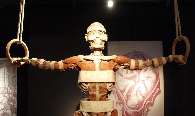 Schaurig ging es im Oktober nicht nur an Halloween zu. Die umstrittene Leichen-Ausstellung des Anatomen Gunther von Hagens machte Station in Nürnberg. Die einen waren begeistert, die anderen empört. Mehr dazu lesen Sie hier.