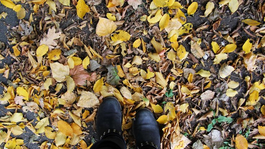 ... knistert unter den Schuhen das goldene Herbstlaub.