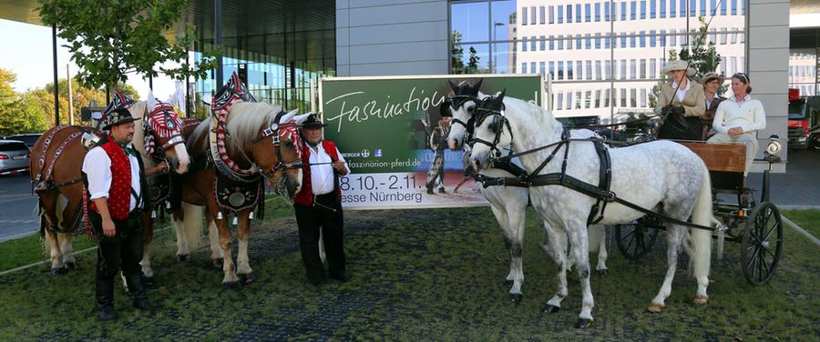 Bis 2. November wird die Frankenhalle erneut zur Pilgerstätte für Pferdebegeisterte.
