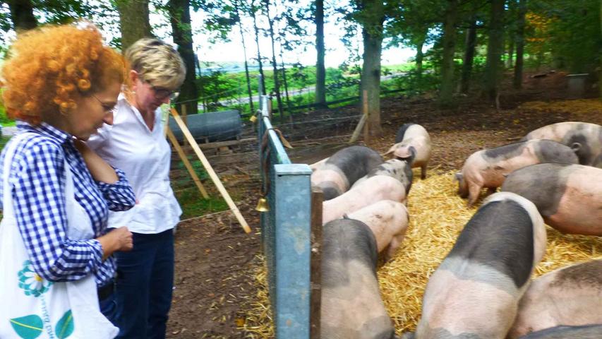 Zunächst betrachten die Neustädter Gastwirtinnen Birgit Stark und Moni Haidle (v. l.) die Schweine noch aus sicherer Distanz…