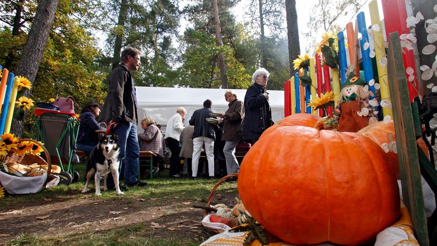 Gartenbauverein feiert herbstliches Kürbisfest in Altenfurt