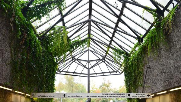 17.200 Menschen stiegen 2019 am U-Bahnhof Wöhrder Wiese pro Werktag ein und aus. Die in grün gehaltenen Kreise an den Wänden der U-Bahnstation symbolisieren die Wöhrder Wiese und die blauen Kreise an Wand und Decke zeigen die Pegnitzüberquerung in der Bauwerksmitte an.