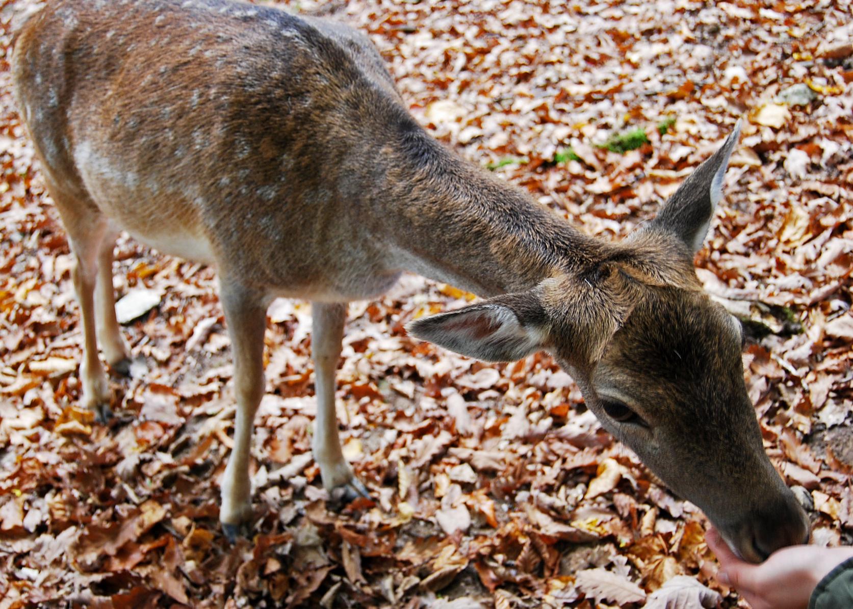 ...alles andere als scheu.